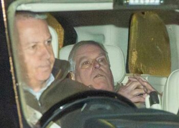 Royals Decide Ex-Prince Andrew's Future After Arrest — Source