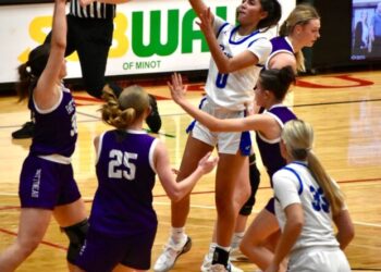 Royals, Panthers advance to region championship | News, Sports, Jobs