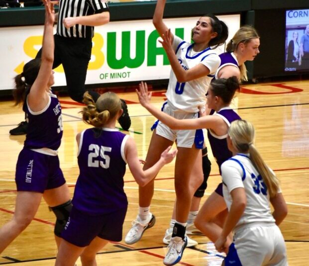 Royals, Panthers advance to region championship | News, Sports, Jobs
