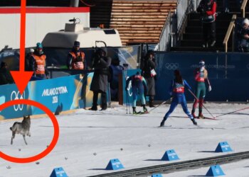 Surprise Guest Storms Winter Olympics Course And The Crowd Loves It
