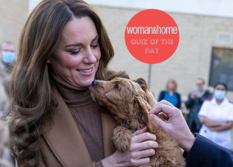 Take our royal pets quiz as Kate Middleton confirms new furry family member