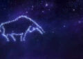 Taurus Horoscope Today, February 18, 2026: Avoid impulse shopping