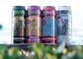 Terrapin Beer Co. announces rebrand using new music inspired art | Eat & Drink