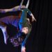 The Circus Spectacular is coming to town | Entertainment