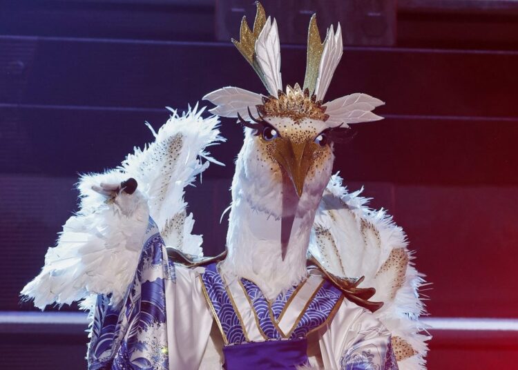 The Masked Singer Season 14 Episode 7 Recap: Snow Cone Revealed