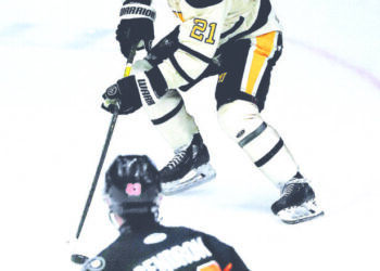 The Reading Royals shut out the Nailers, 3-0 | News, Sports, Jobs