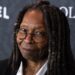The View hosts appear in Epstein files as Whoopi Goldberg named most - Celebrity News - Entertainment