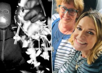 Third note demanding Bitcoin sent in Nancy Guthrie's kidnapping
