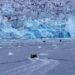 Travel ideas and tips for Greenland | Entertainment/Life