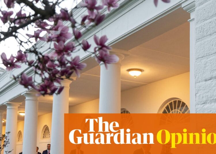 Trump’s family is embroiled in a $500m UAE scandal. We’ve hardly noticed | Mohamad Bazzi