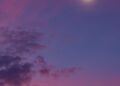 Venus In Pisces 2026 Horoscope Is Here
