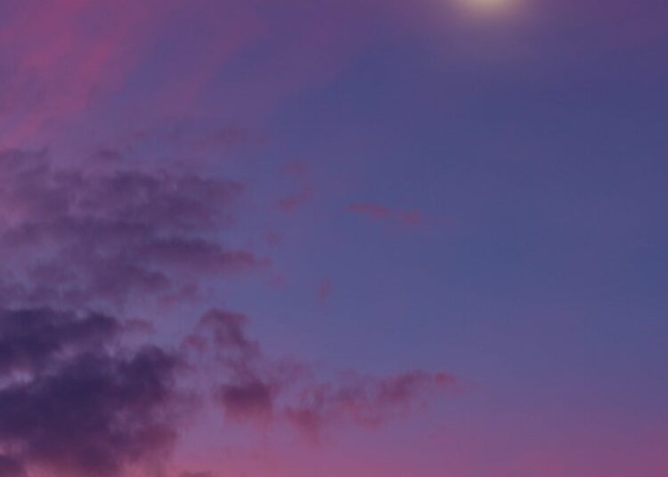 Venus In Pisces 2026 Horoscope Is Here