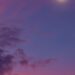 Venus In Pisces 2026 Horoscope Is Here