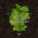 A green leaf on soil with text: Grand Tour, Freiburger Barockorchester, Gottfried von der Goltz, Fischer, Pez, Kusser, J.S. Bach, Telemann, J.L. Bach.