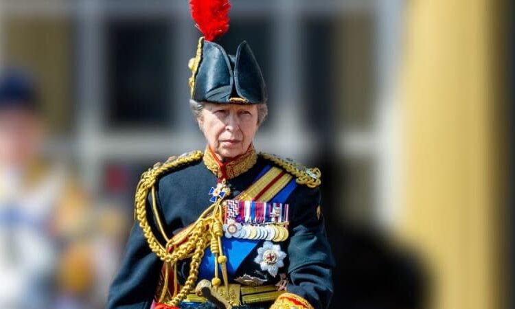 Princess Anne is believed to be doing all she can to back her disgraced brother.MEGA