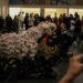 Photo of a lion dance with the closest lion having black fur and gold detailing, the one in the middle with white fur and silver detailing, and the furthest one has black fur and blue detailing. People around have their phones out and are recording the performance.