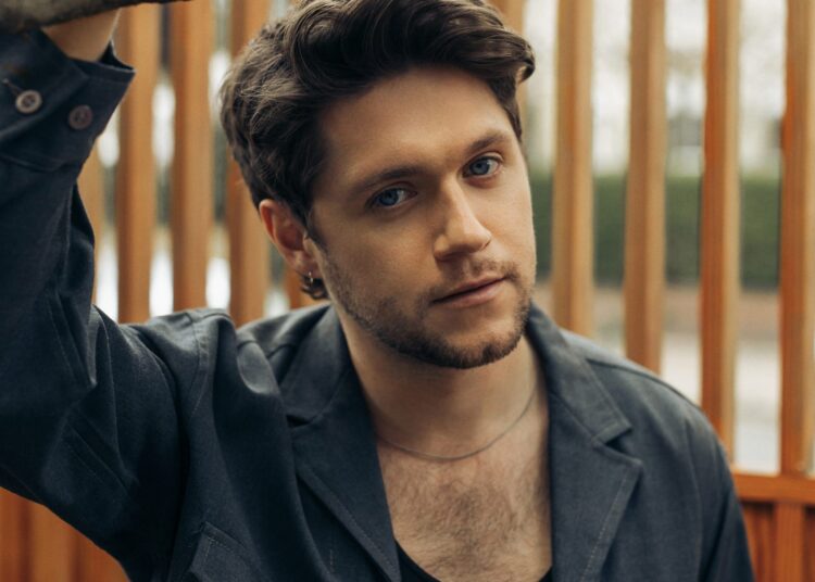 Yep, New Niall Horan Music Is Coming