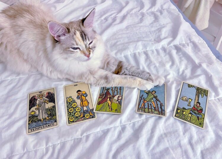 Your Feb 6 horoscope: When reflection ends & real movement begins for every sign