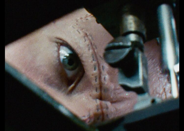ZEP - DON'T BREAK (Official Music Video)
