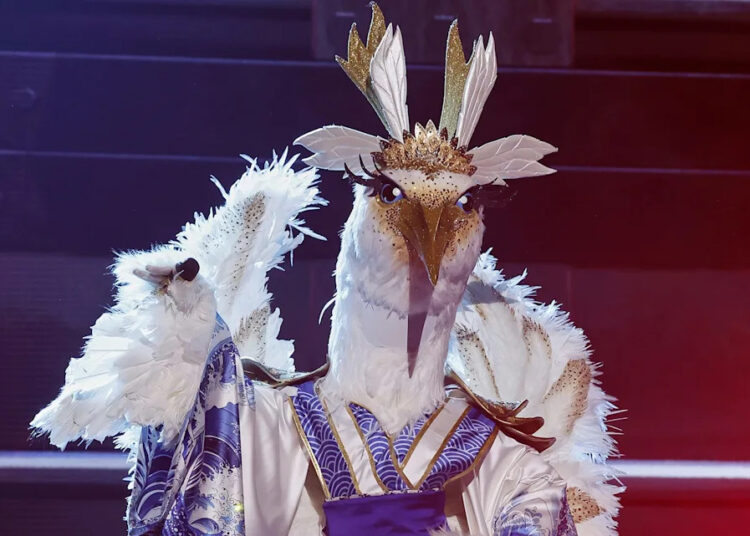 ‘The Masked Singer’ Reveals the Identity of Snow Cone: Here Is the Celebrity Under the Costume