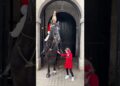 Kindness Meets Royalty: Little Layla Charms the King’s Guard—and His Horse! 🐴👑