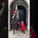 Kindness Meets Royalty: Little Layla Charms the King’s Guard—and His Horse! 🐴👑