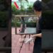 Street Art Into Mystery Puzzle 😱 #shorts #artist #facts