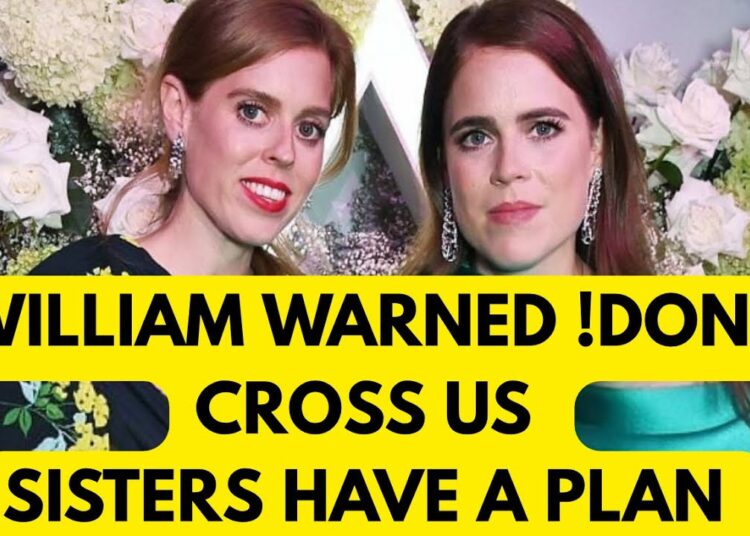 PRINCE WILLIAM. HUGE MISTAKE – ITS WAR – SISTERS REVENGE #princewilliam #royal #epsteinfiles