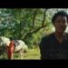 Vyroota – Kunsi (Official Music Video)