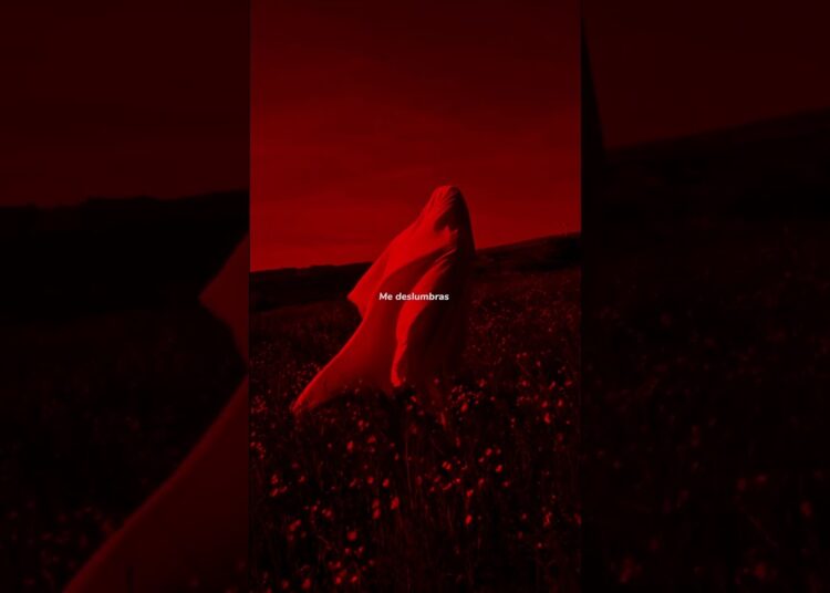 Impacto – Enjambre | lyrics | aesthetic | whatsapp Status | English songs | slowed | sped up #lyrics