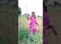 royal shetkari #royal #shetkari #farming #shorts #farmer #marathi #dialogue #shortviral