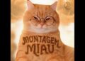 Montagem Miau – Ay mi gatito miau miau