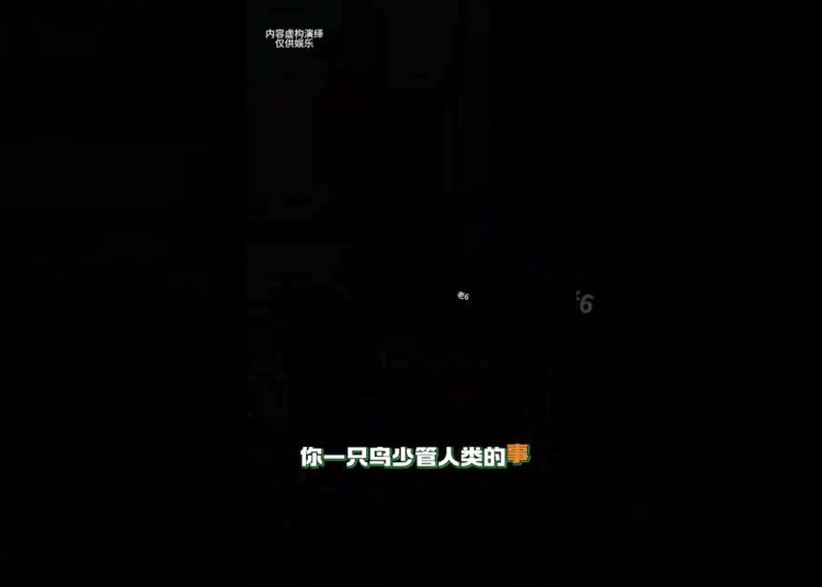 Huihui’s Gossip Galore: The Parrot’s Daily Drama Delights