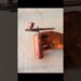 This Airbrush can make you a pro artist