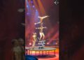 OMG 😱The game of the most dangerous artists #circus #shorts #shortsfeed #viral #stant