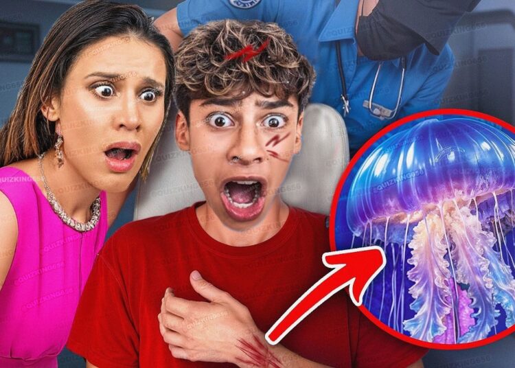 Jellyfish ATTACKED Ferran!! Will He SURVIVE?! (The Royalty Family) 😱