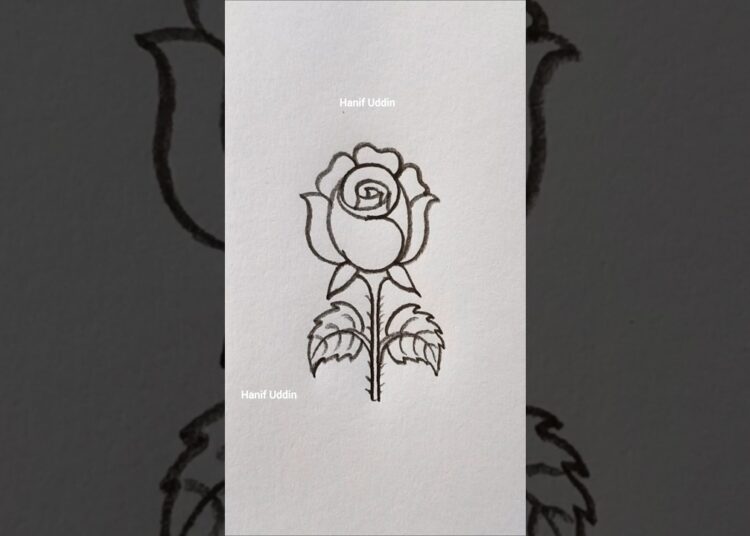 how to draw a rose ❤️🌹 #art #drawing #artist #artwork #draw
