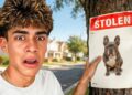 WHO STOLE MY DOG??