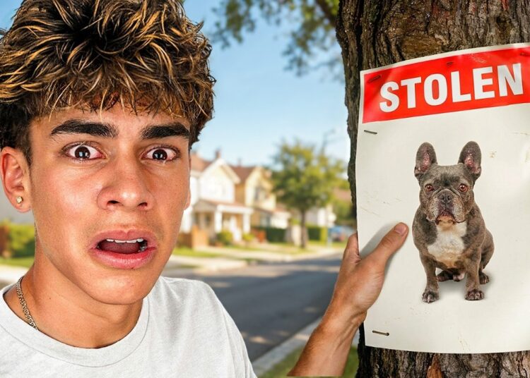 WHO STOLE MY DOG??
