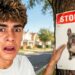 WHO STOLE MY DOG??