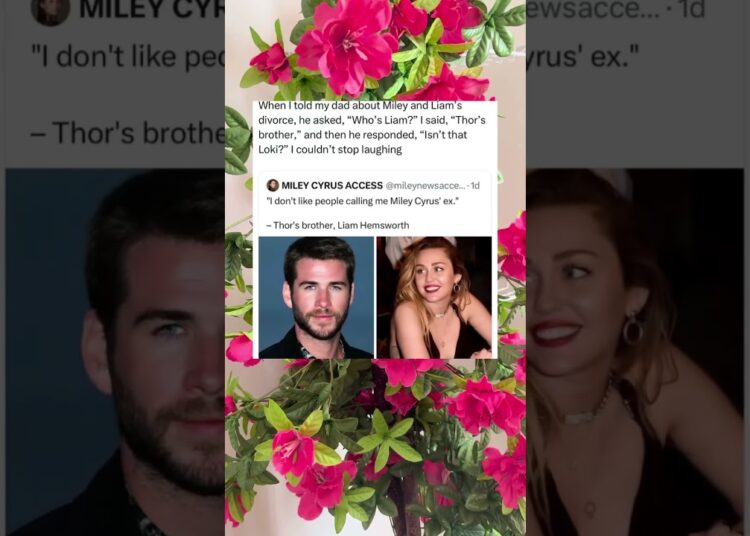 Dad Thought Liam Hemsworth Was Loki #funny #celebrity