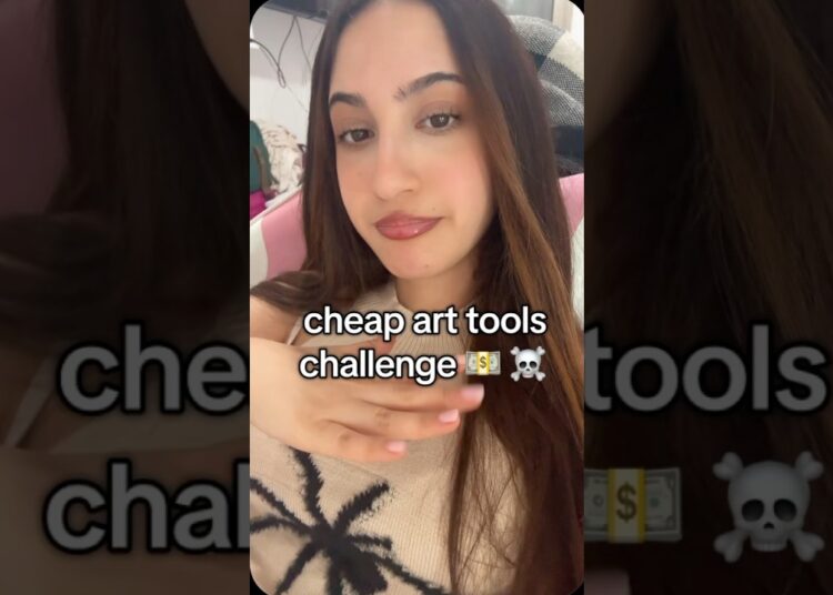 Cheap Art Tools Challenge #artchallenge #alysaliu