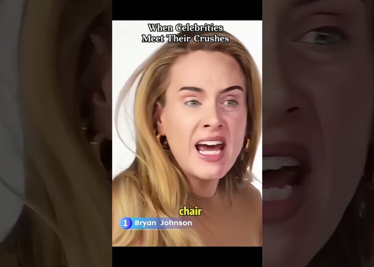 When celebrities meet their crushes #funny #funnyvideo #fyp #usa #celebrity