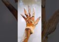 Burning Is Like Magic 😱 #shorts #youtubeshorts #art #illusion #artist #handpainting #painting