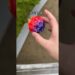 नीचे गेंद गिर गया🥵 ll Carriage House wooden artist ll #cartoon #shortvideoshortvideo