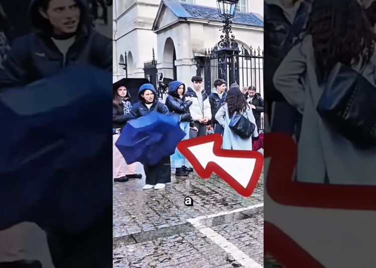 Tourist Triggers Royal Guard Alarm‼️😱