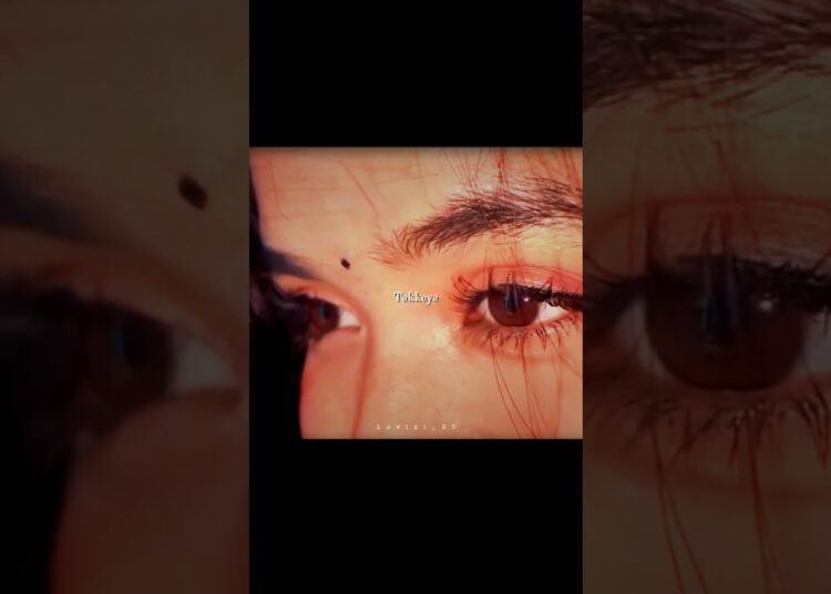 Udaarian – Punjabi song | lyrical video #punjabisong#aesthetic #song #music #lyrics