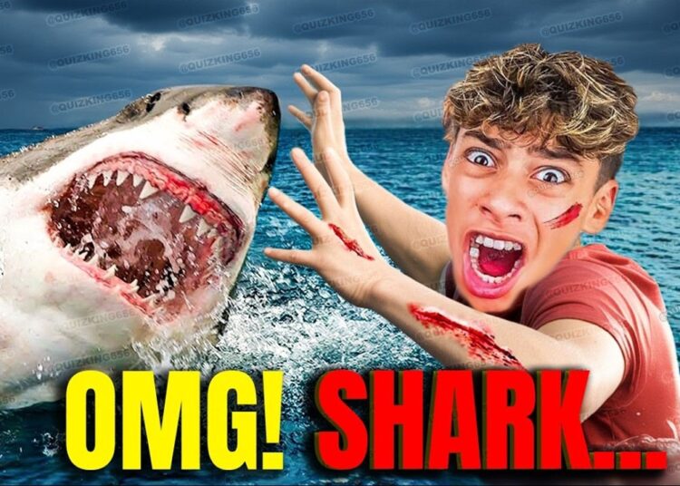 SHARK ATTACKED FERRAN!! 😱 RUSHED TO HOSPITAL (The Royalty Family)