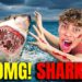 SHARK ATTACKED FERRAN!! 😱 RUSHED TO HOSPITAL (The Royalty Family)