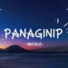 New OPM Love Playlist 2026 🎶 | Philippines Top Songs | Tagalog Hits: Panaginip – Nicole, Tahanan